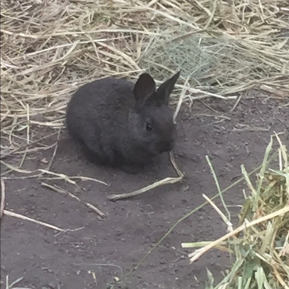 Meet your Posher, Marissa - Picture 1 of 1